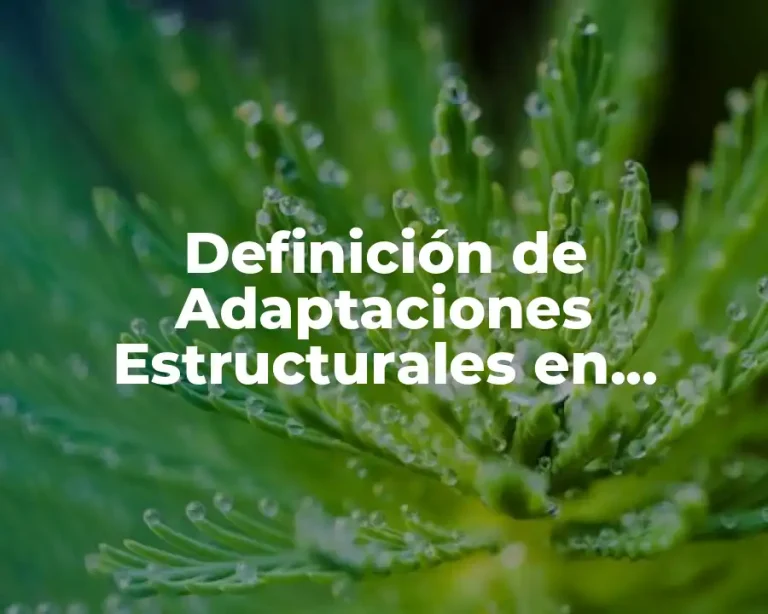 Definición de Adaptaciones Estructurales en Animales