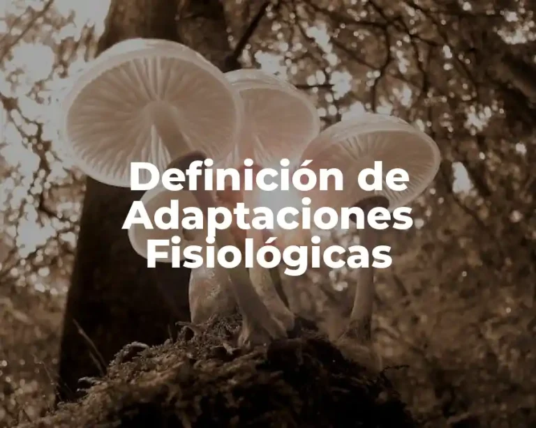 Definición de Adaptaciones Fisiológicas