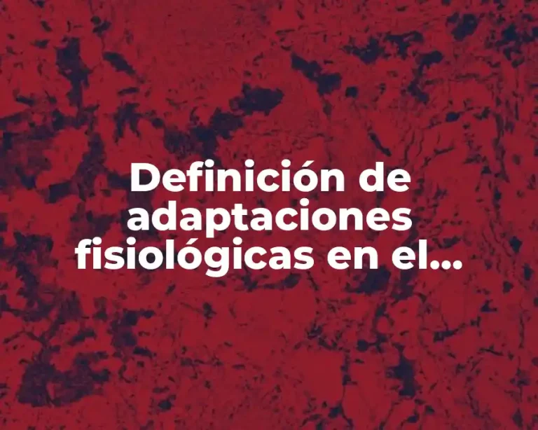 Definición de adaptaciones fisiológicas en el trabajo
