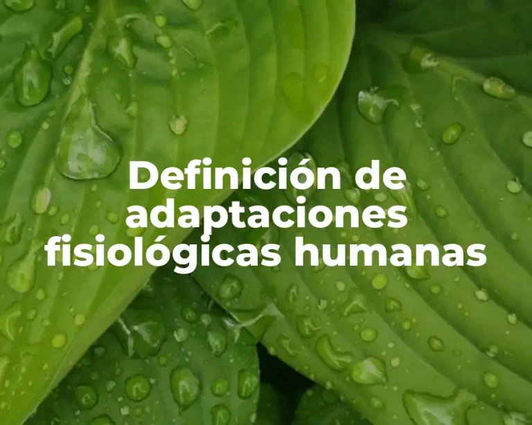 Definición de adaptaciones fisiológicas humanas