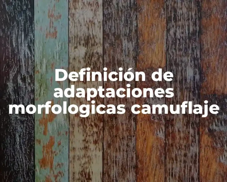 Definición de adaptaciones morfologicas camuflaje