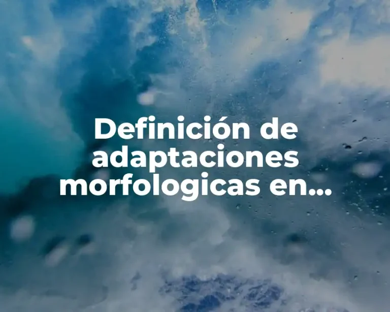 Definición de adaptaciones morfologicas en animales y plantas