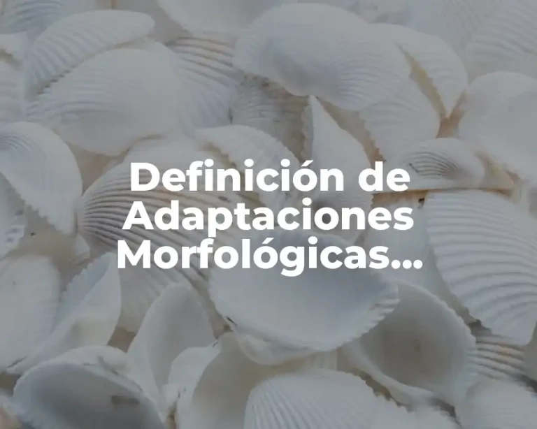Definición de Adaptaciones Morfológicas, Fisiológicas y Conductuales
