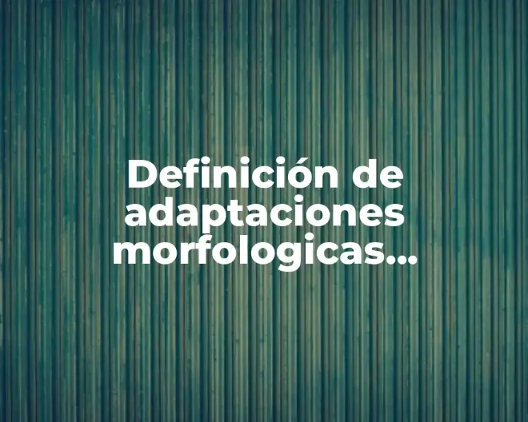 Definición de adaptaciones morfologicas, fisiologicas y conductuales