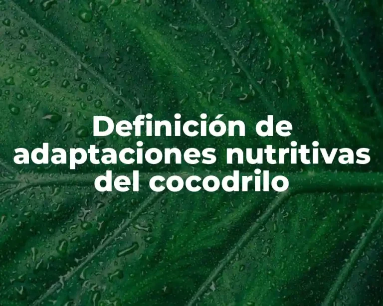 Definición de adaptaciones nutritivas del cocodrilo