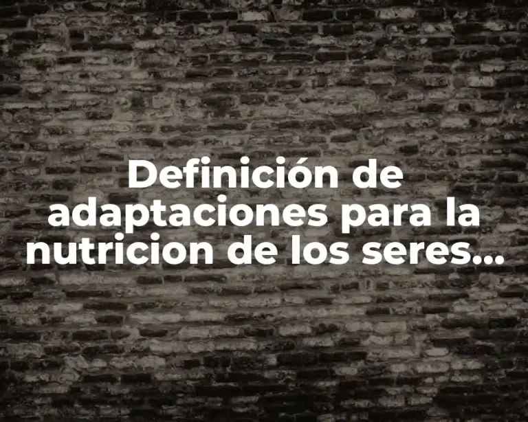 Definición de adaptaciones para la nutricion de los seres vivos