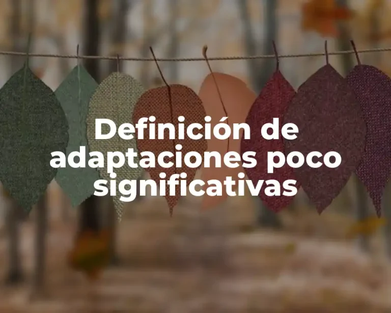 Definición de adaptaciones poco significativas