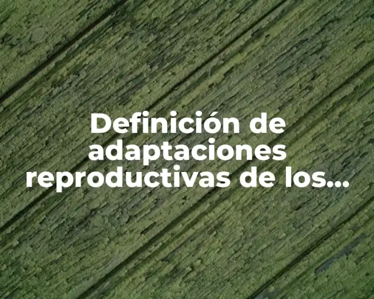 Definición de adaptaciones reproductivas de los animales