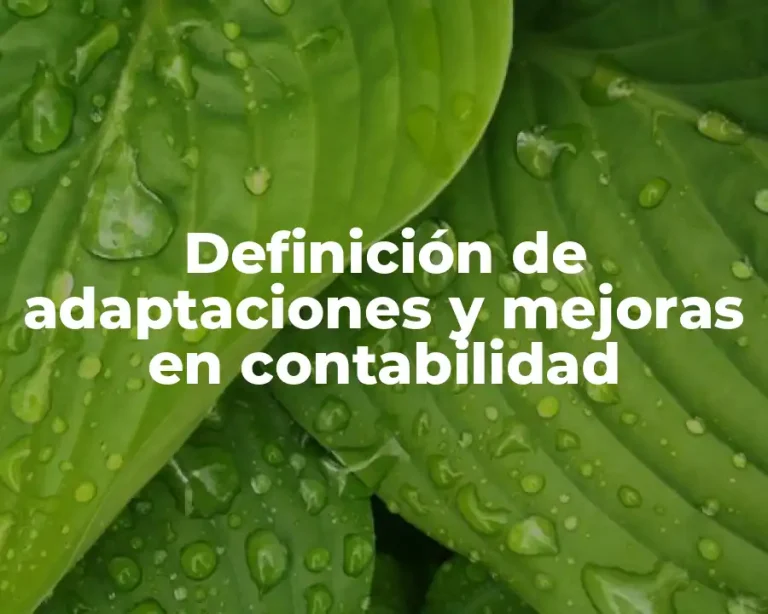 Definición de adaptaciones y mejoras en contabilidad