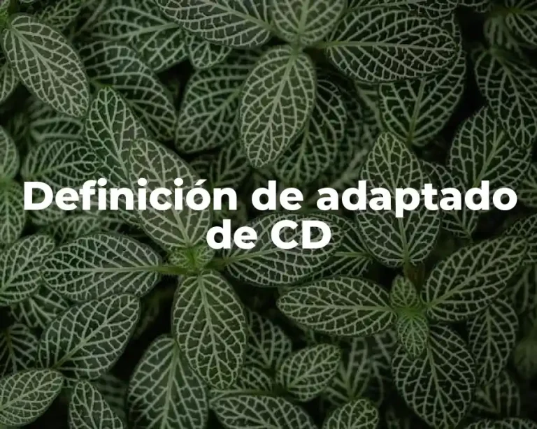 Definición de adaptado de CD