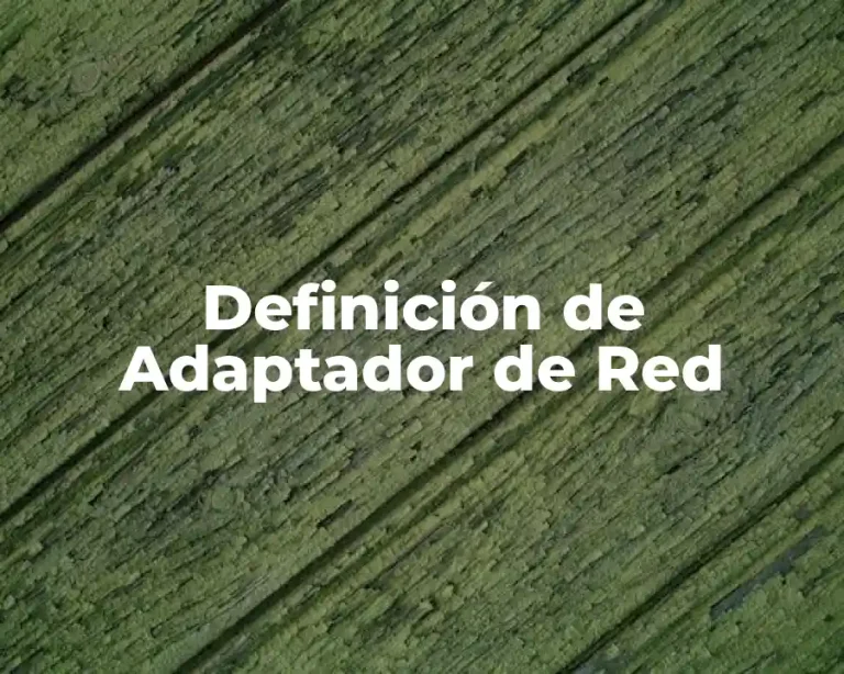 Definición de Adaptador de Red