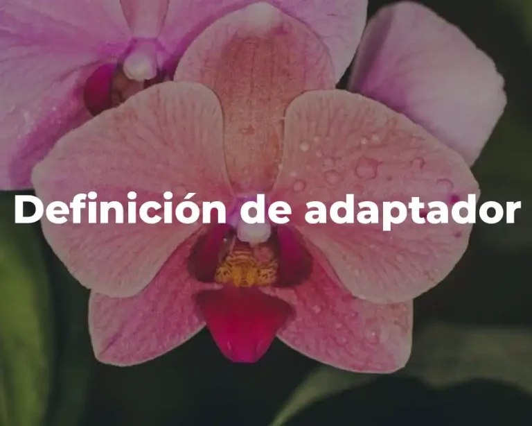 Definición de adaptador