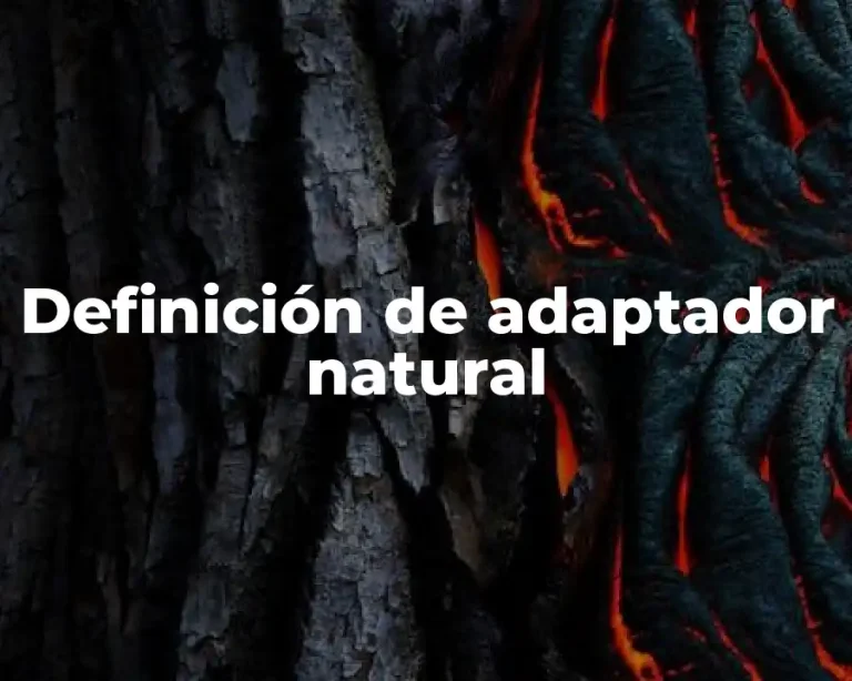 Definición de adaptador natural