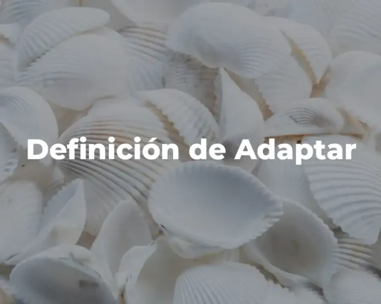 Definición de Adaptar