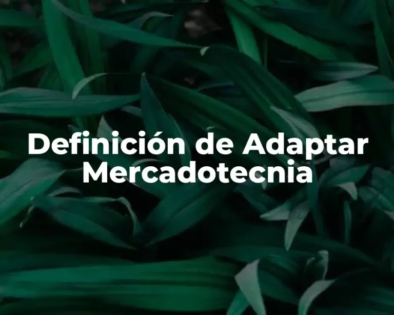 Definición de Adaptar Mercadotecnia