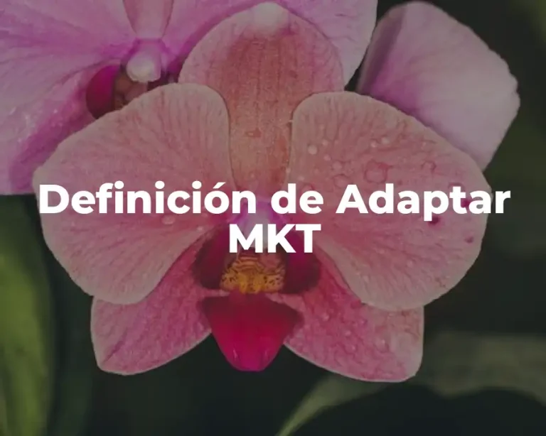 Definición de Adaptar MKT