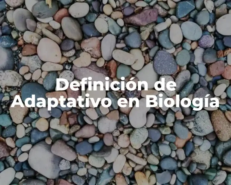 Definición de Adaptativo en Biología