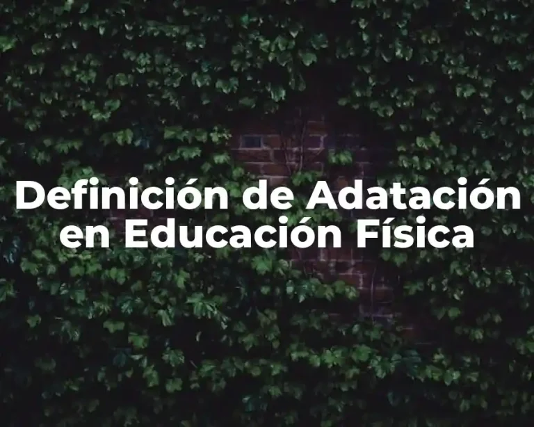 Definición de Adatación en Educación Física