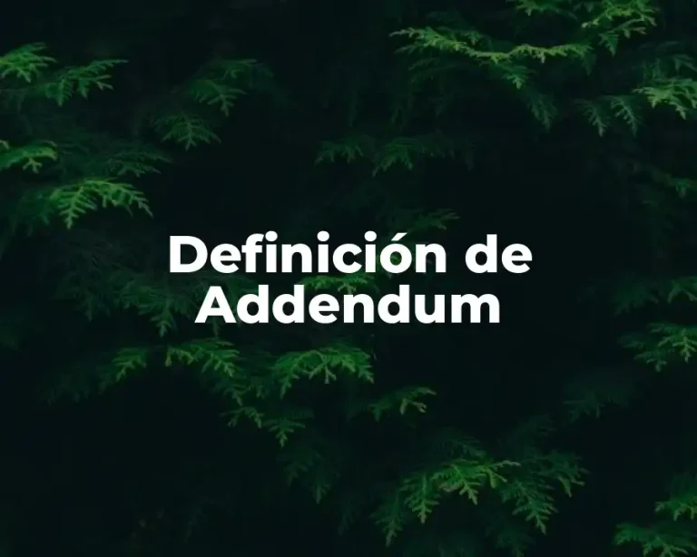 Definición de Addendum