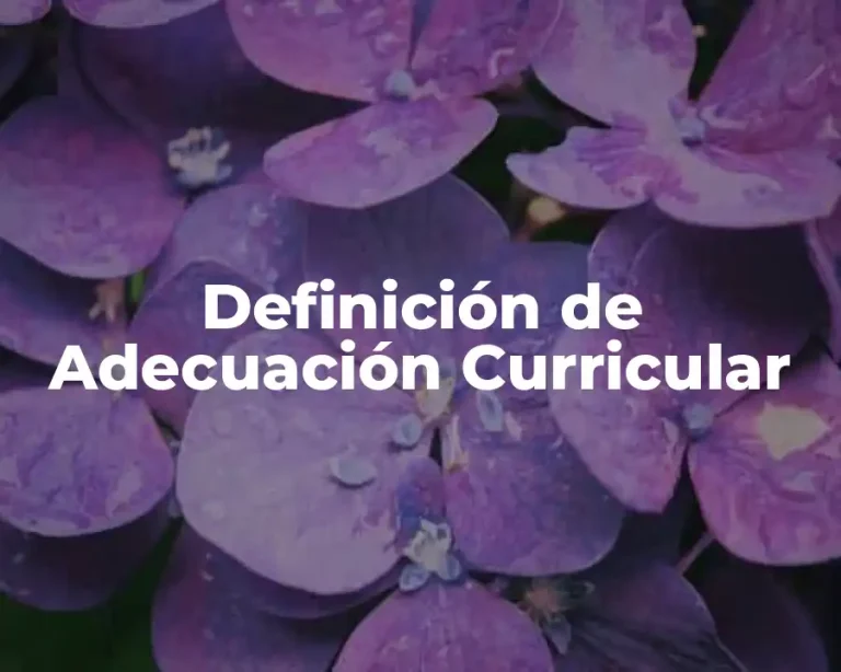 Definición de Adecuación Curricular
