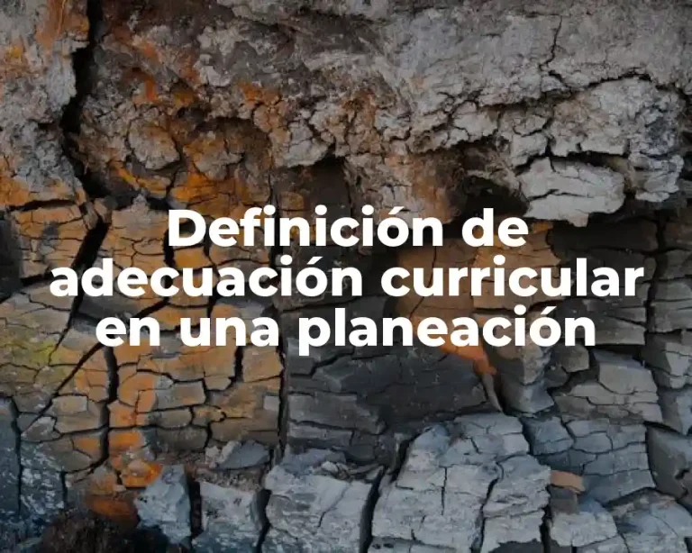 Definición de adecuación curricular en una planeación