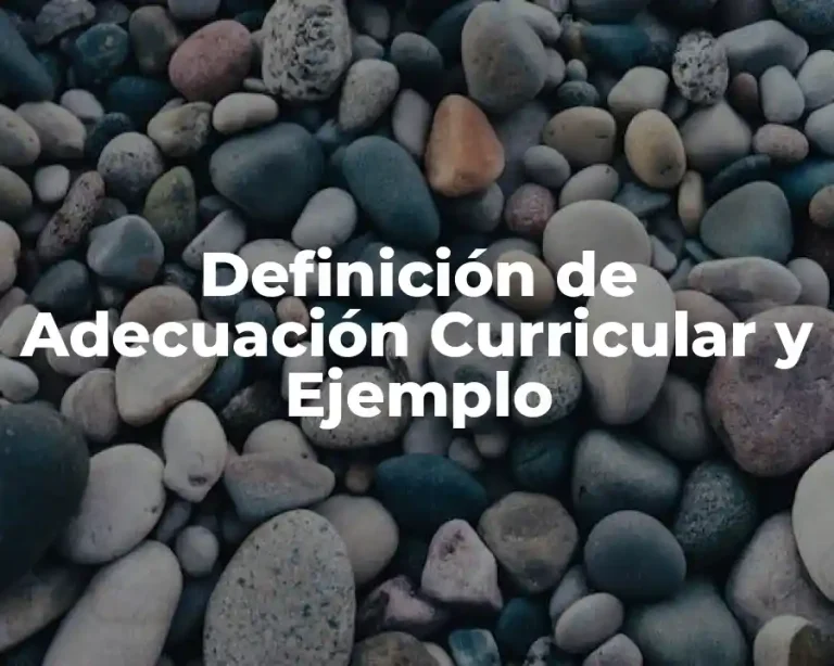 Definición de Adecuación Curricular y Ejemplo