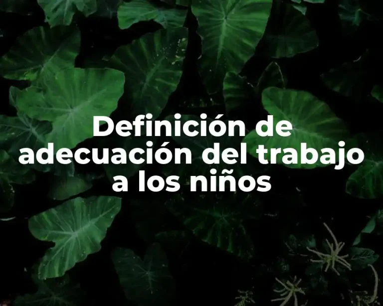 Definición de adecuación del trabajo a los niños