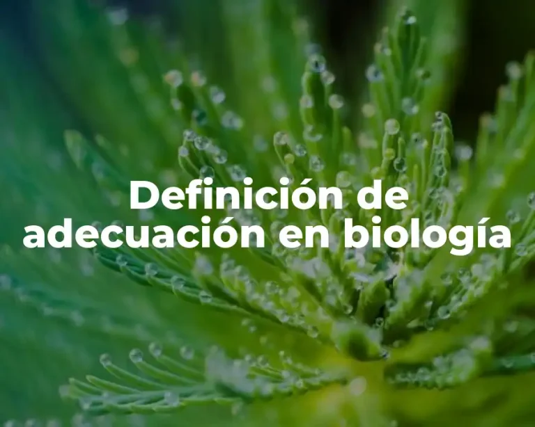 Definición de adecuación en biología