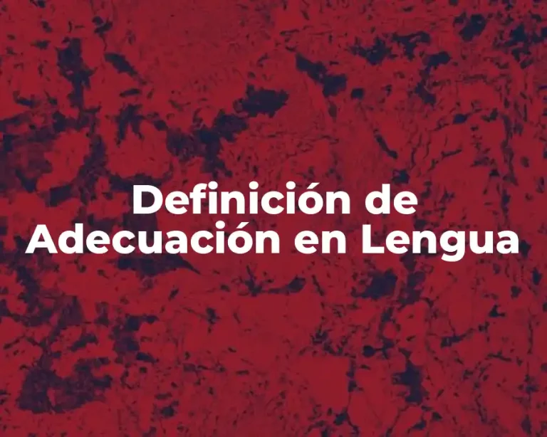 Definición de Adecuación en Lengua