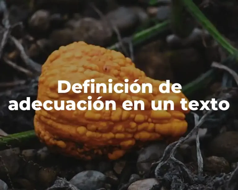 Definición de adecuación en un texto