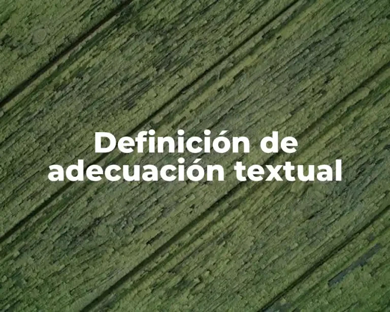 Definición de adecuación textual