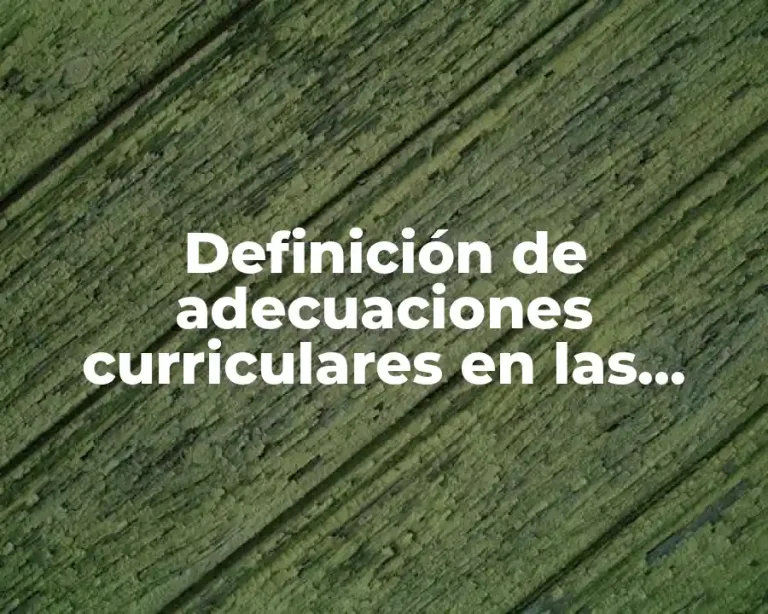 Definición de adecuaciones curriculares en las planeaciones