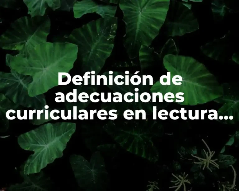 Definición de adecuaciones curriculares en lectura y escritura en primaria
