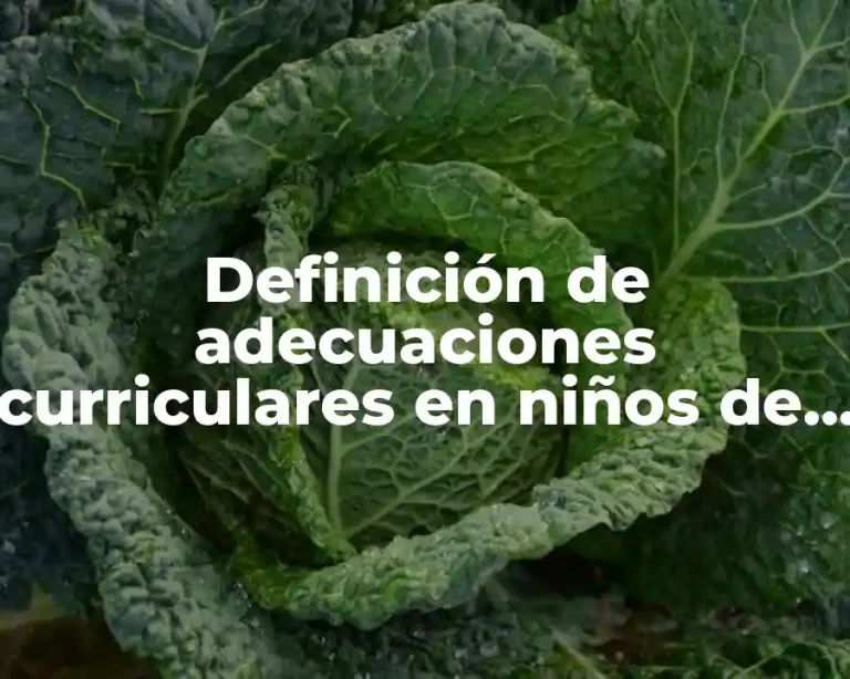 Definición de adecuaciones curriculares en niños de preescolar
