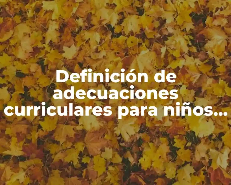 Definición de adecuaciones curriculares para niños con discapacidad motriz