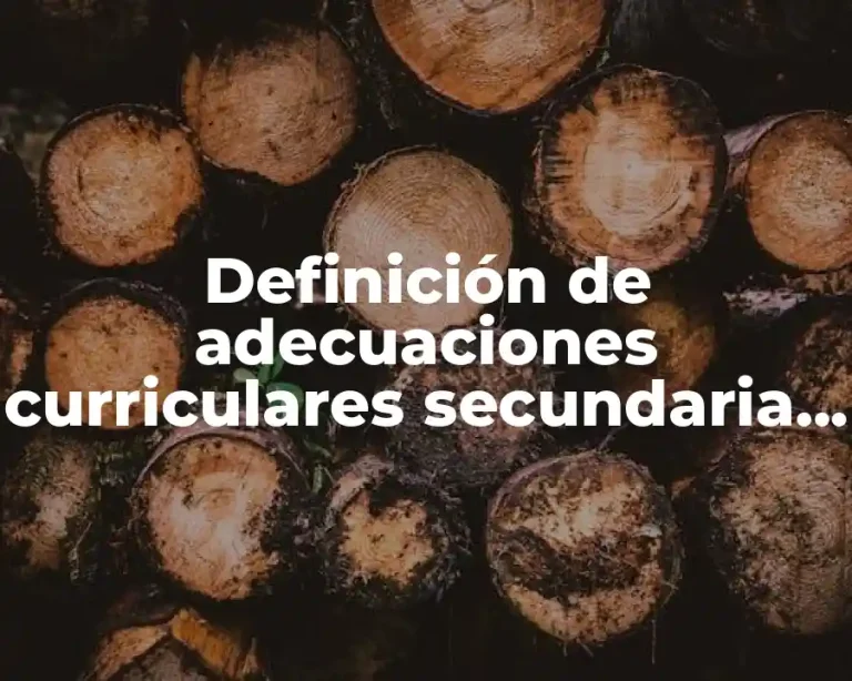 Definición de adecuaciones curriculares secundaria en español