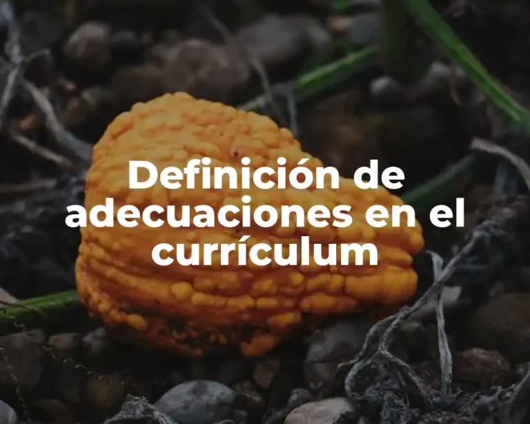 Definición de adecuaciones en el currículum