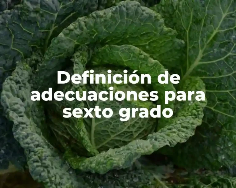 Definición de adecuaciones para sexto grado