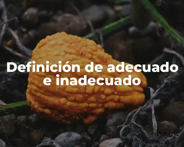 Definición de adecuado e inadecuado