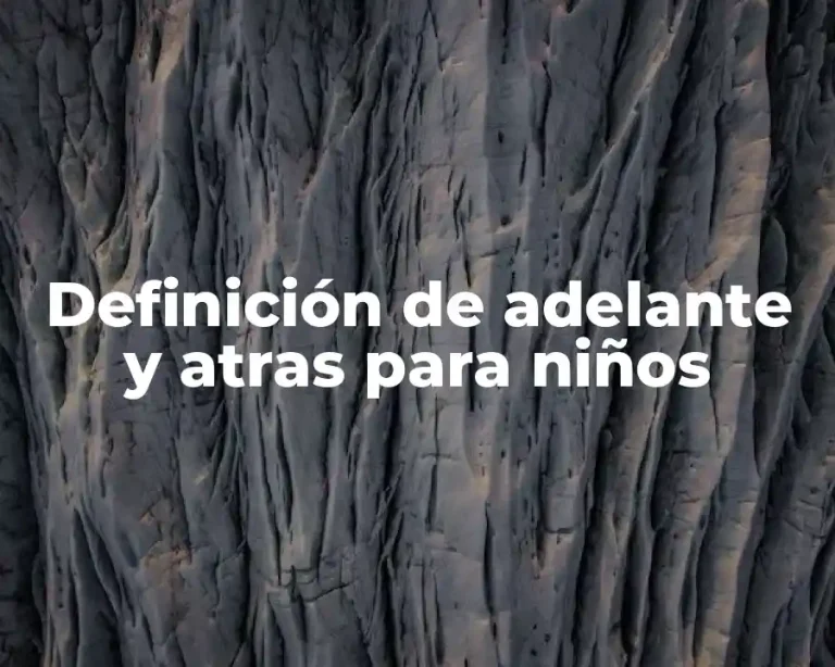 Definición de adelante y atras para niños