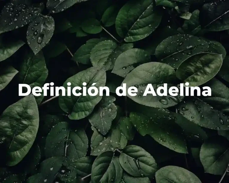Definición de Adelina