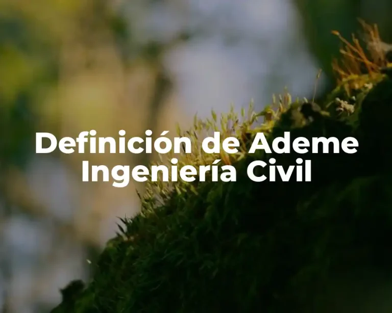Definición de Ademe Ingeniería Civil