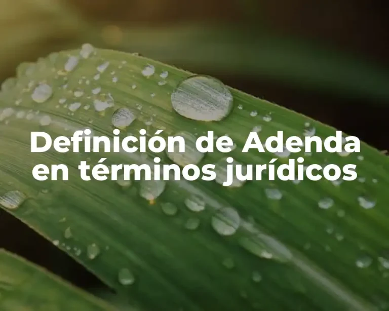 Definición de Adenda en términos jurídicos