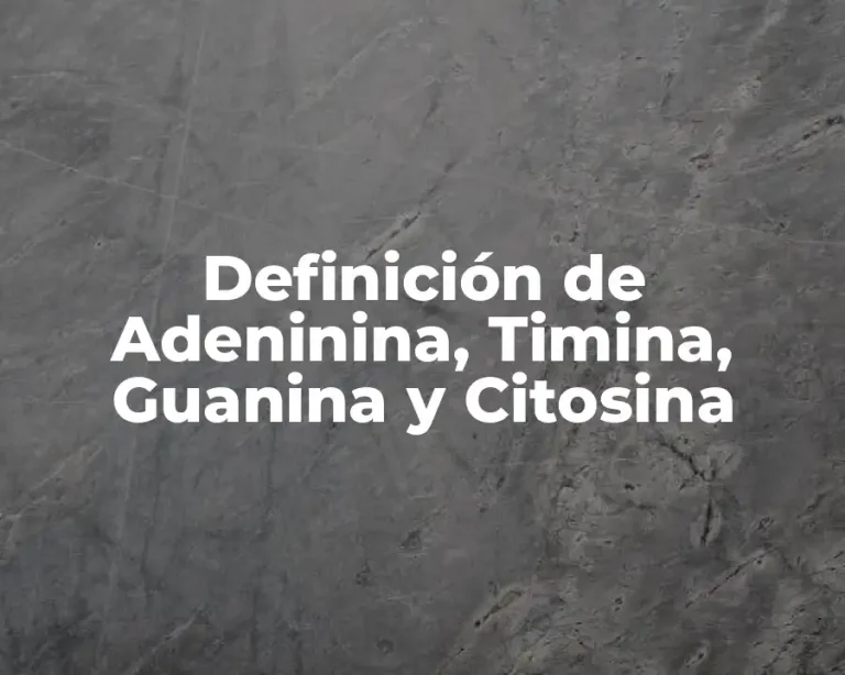 Definición de Adeninina, Timina, Guanina y Citosina