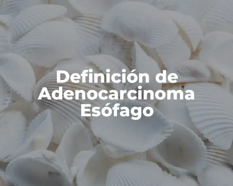 Definición de Adenocarcinoma Esófago