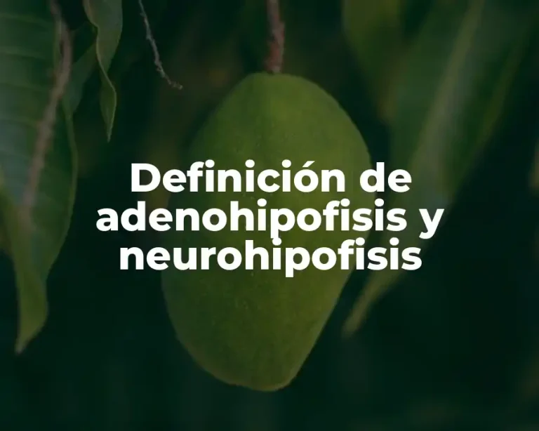 Definición de adenohipofisis y neurohipofisis
