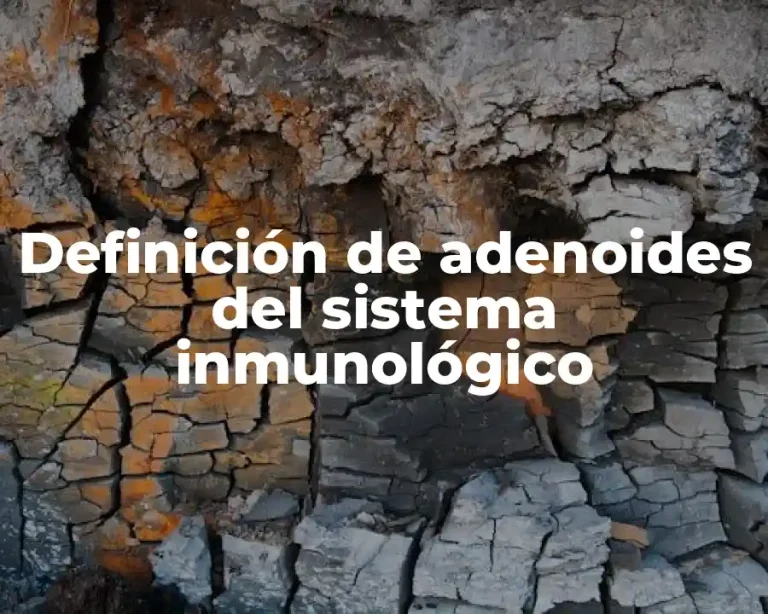 Definición de adenoides del sistema inmunológico