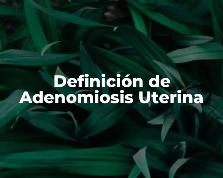 Definición de Adenomiosis Uterina