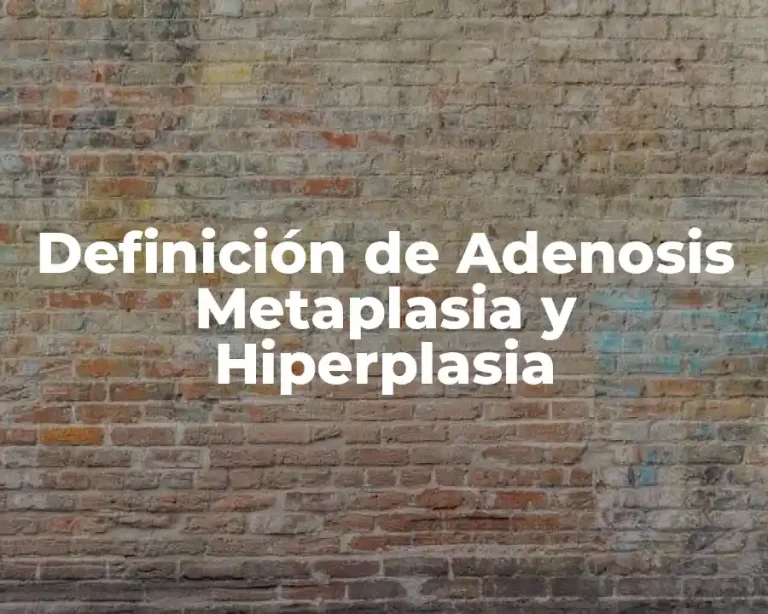 Definición de Adenosis Metaplasia y Hiperplasia