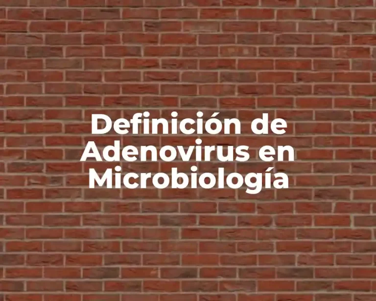 Definición de Adenovirus en Microbiología